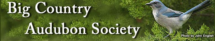 Big Country Audubon Society