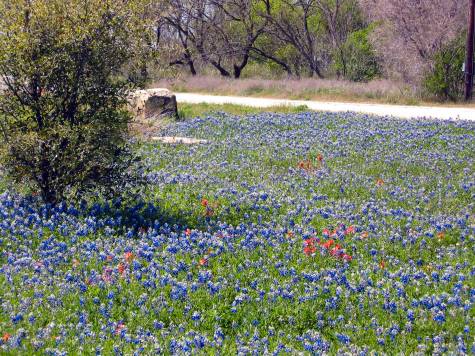 Oakwood Trails