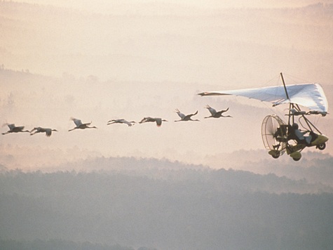 WhoopingCranesFly_web_cr.jpg