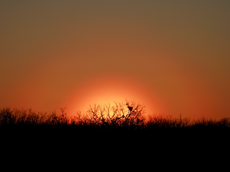 Sunset_IMG_1927.jpg