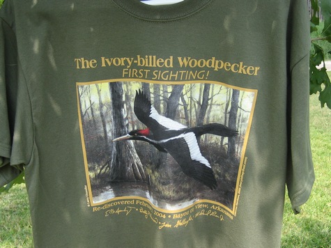 IBWO_t_shirt